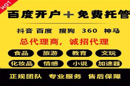 SEM推广公司案例：助力企业实现品牌价值提升