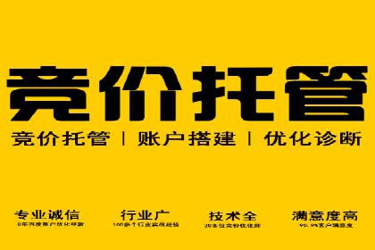 网络推广与竞价策略实战案例